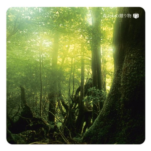 丝袜让男生❌了一夜网站
